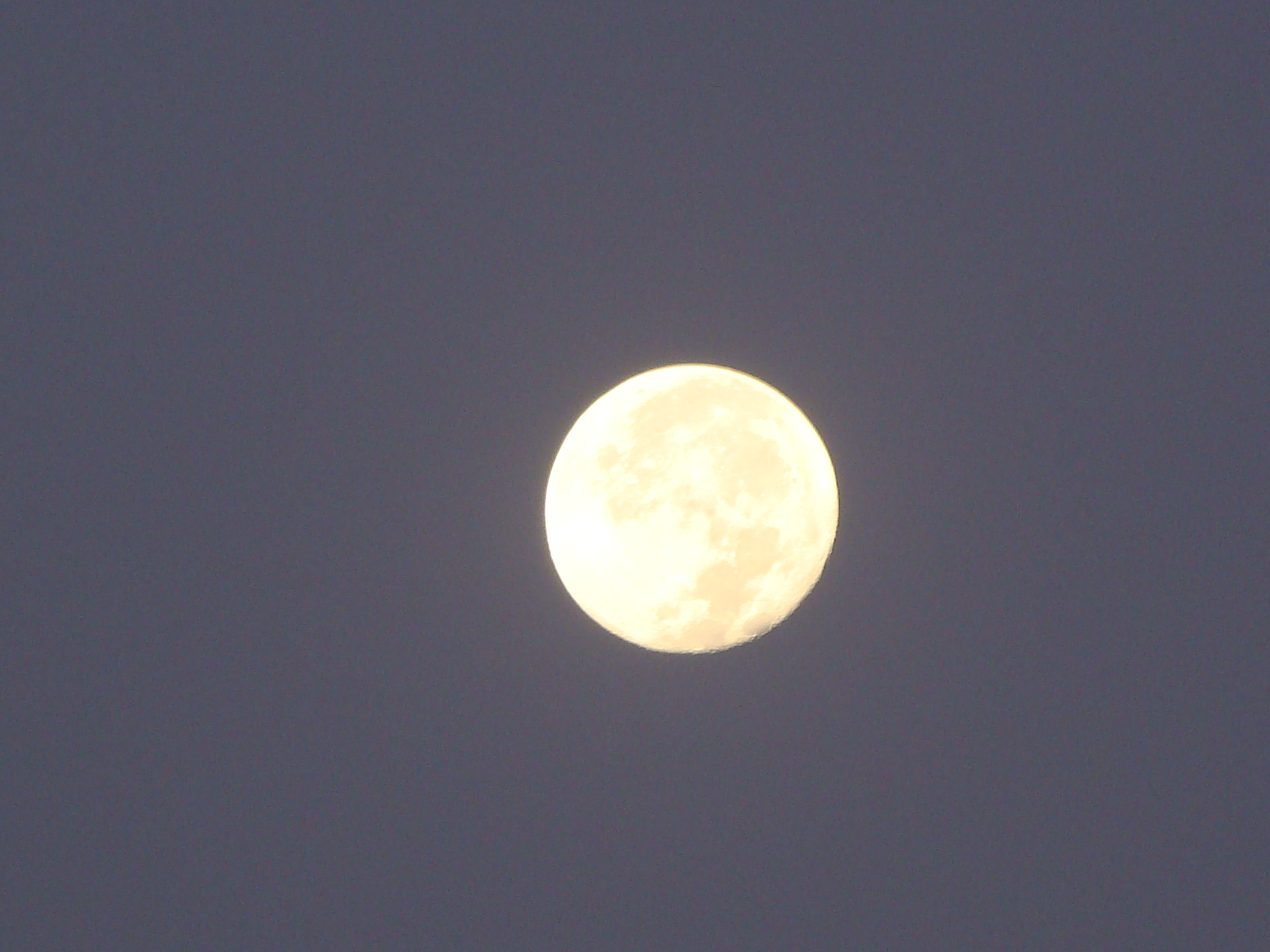 Moon
