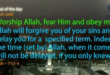 Ayat of the day